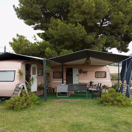 Caravana- Glamping Casa Tortuga La Nucía Exteriör bild