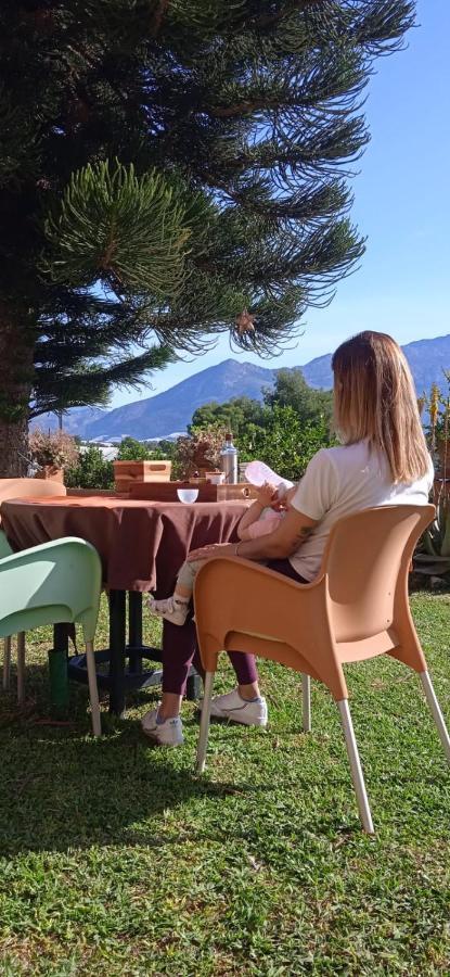 Caravana- Glamping Casa Tortuga La Nucía Exteriör bild