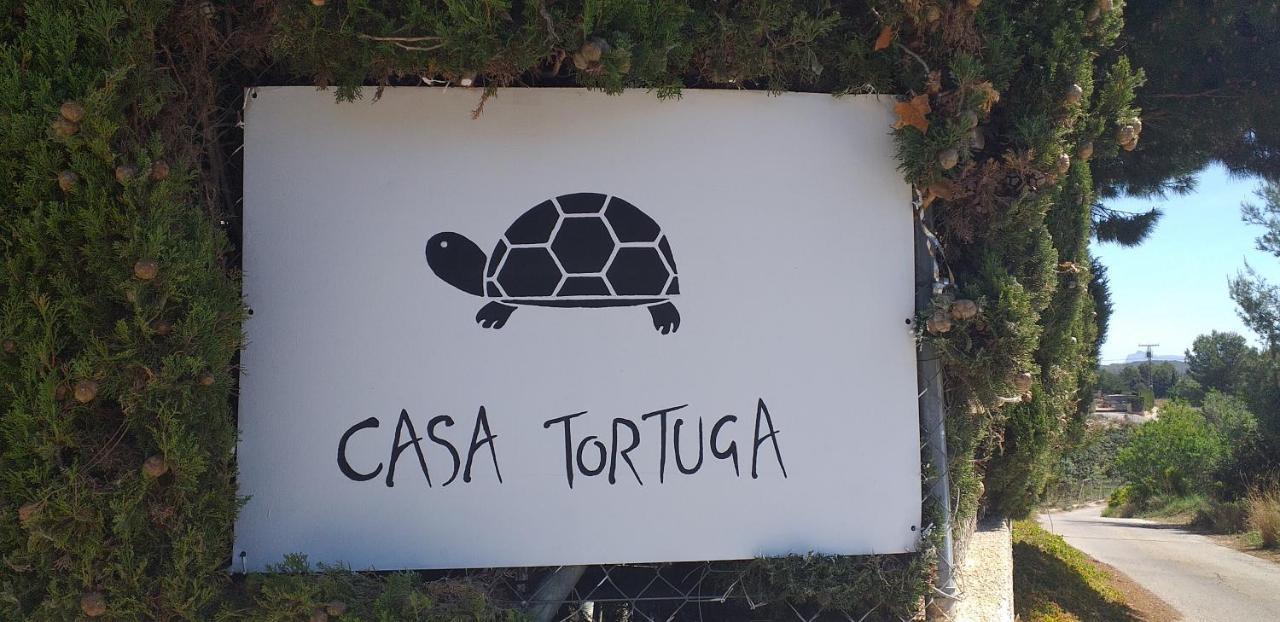 Caravana- Glamping Casa Tortuga La Nucía Exteriör bild